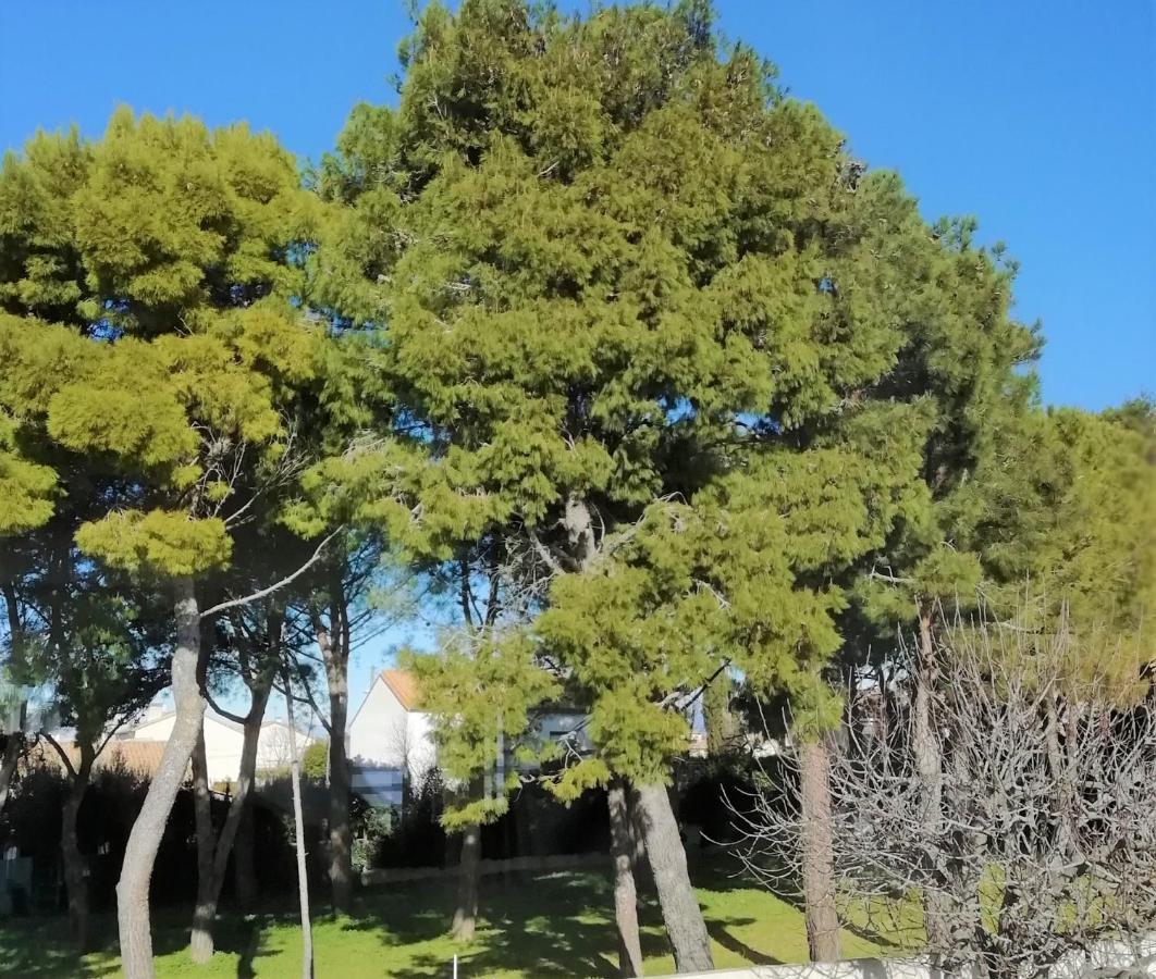 Majopau Διαμέρισμα Boujan-sur-Libron Εξωτερικό φωτογραφία